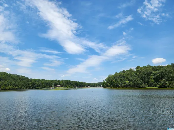 1366 White Oak Rd, Sylacauga, AL 35151