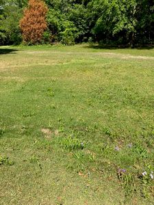 188 County Road County Rd, Auburn, AL, 36832