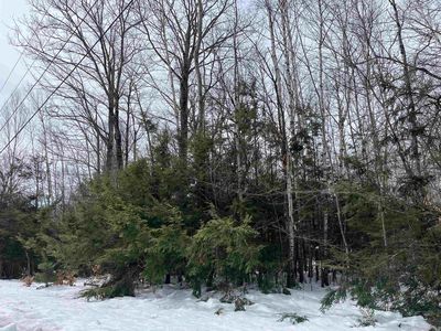 36 Brookridge Drive, Grantham, NH, 03753