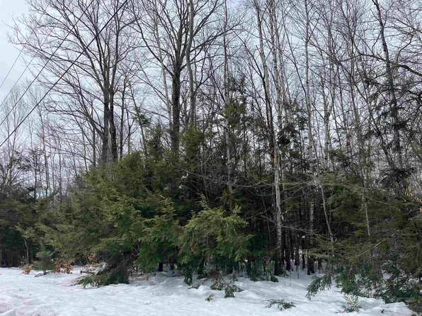 36 Brookridge Drive, Grantham, NH 03753