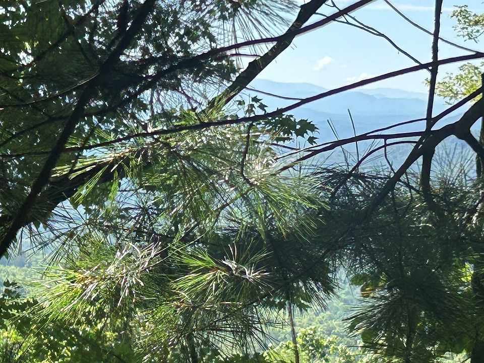 2nd image of 0 Hideaway Mountain Dr