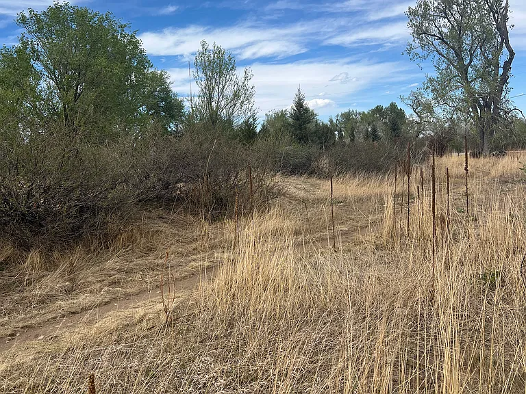 1410 S Foothills Hwy #3 — Photo 18
