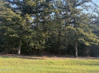 0 Friendship Cir Lot 42, Forest, MS