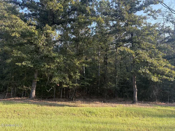 0 Friendship Cir Lot 42, Forest, MS 39074