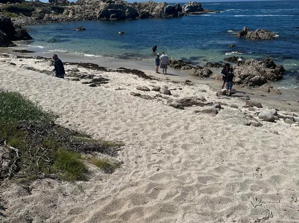 1200 Surf Ave #1204, Pacific Grove, CA 93950