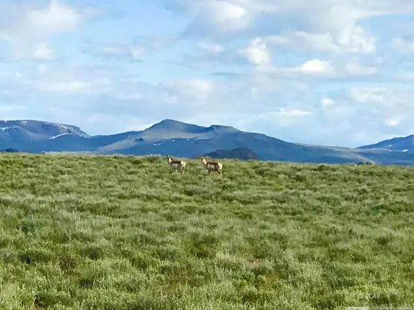 Tactite Ave, Elko, NV 89801