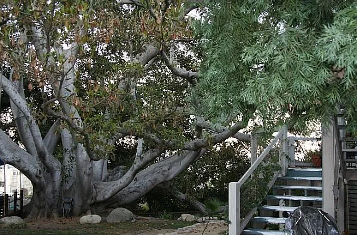 Stairs to Apartment No. 6