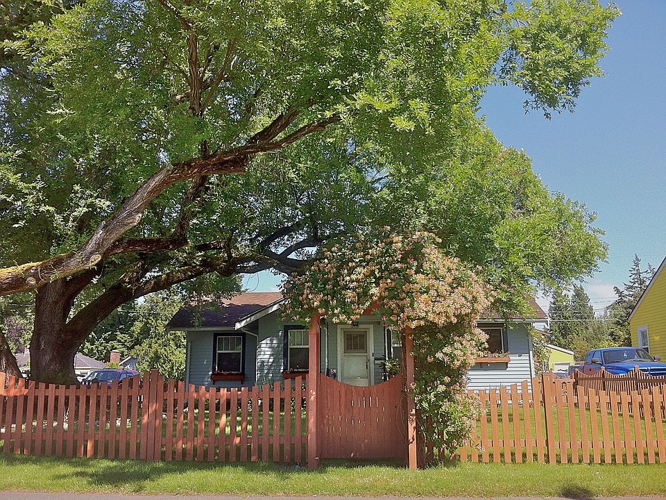 Elm and honeysuckle