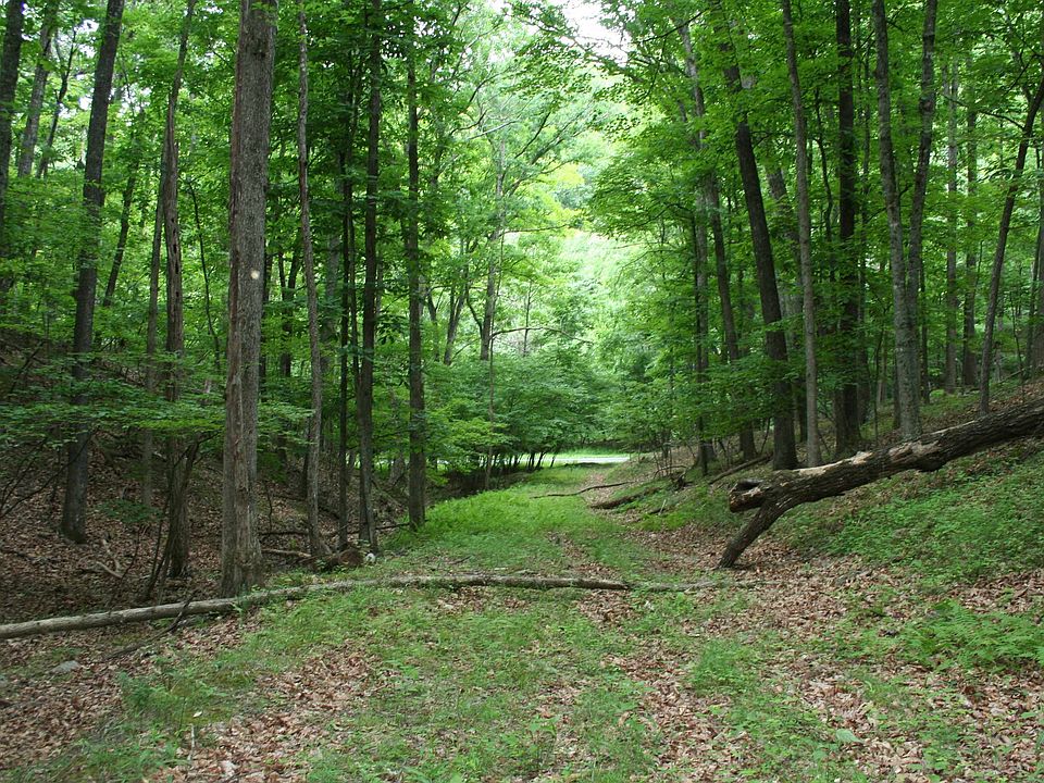 1st image of 20 High Valley Dr S