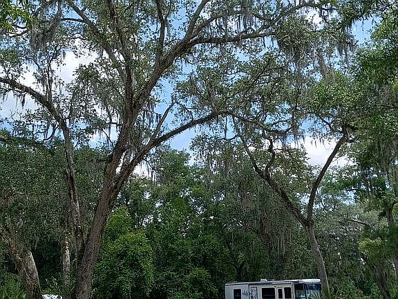 2nd image of 4401 N Suncoast Blvd #20