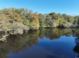 Martin Luther King Jr Hwy, Kingstree, SC 29556