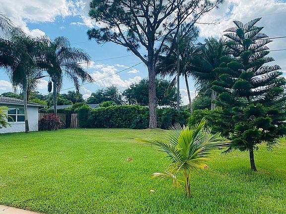 Front yard