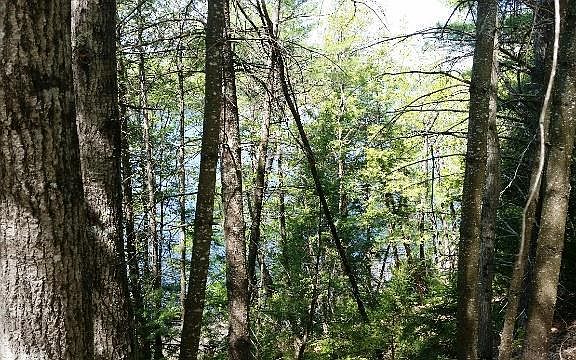 2nd image of 0 Androscoggin Bluff Road