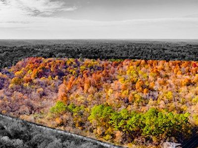 0 Dog Branch Rd, Mount Pleasant, TN, 38474