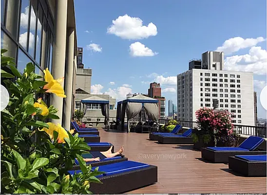 Rented by Avery New York | media 30