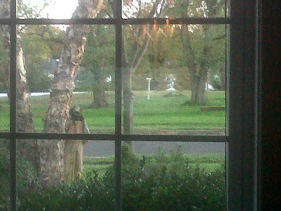 View from Front Window to open space