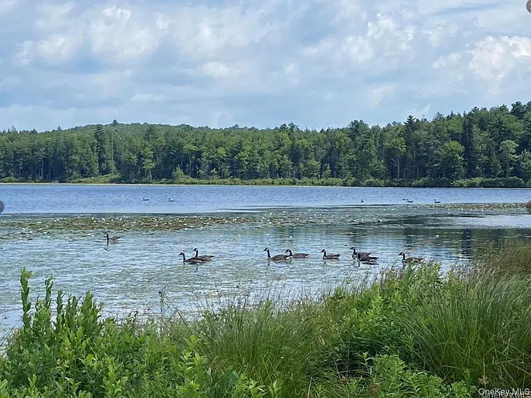 15 Bailey Lake Rd #1 — Photo 5