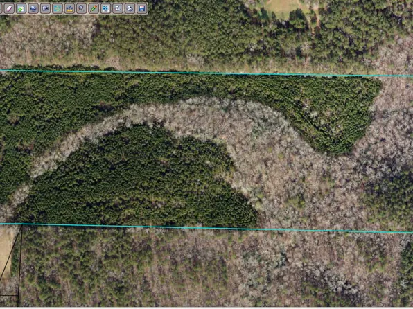 0 Roosterville Rd Tract 3, Franklin, GA 30217