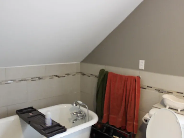 127 Abbott St #3 — Photo 13