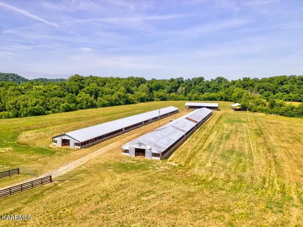 Little Chuckey Rd, Mosheim, TN 37818