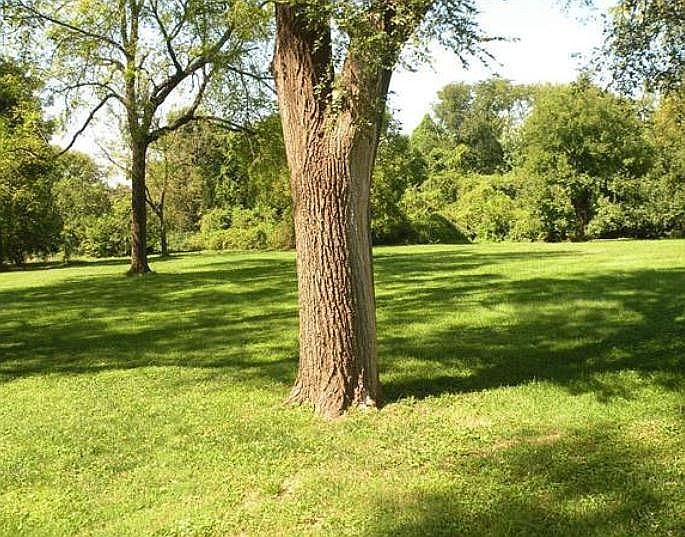 2nd image of 4035 Sims Ave
