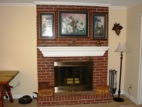 Wood burning Fireplace