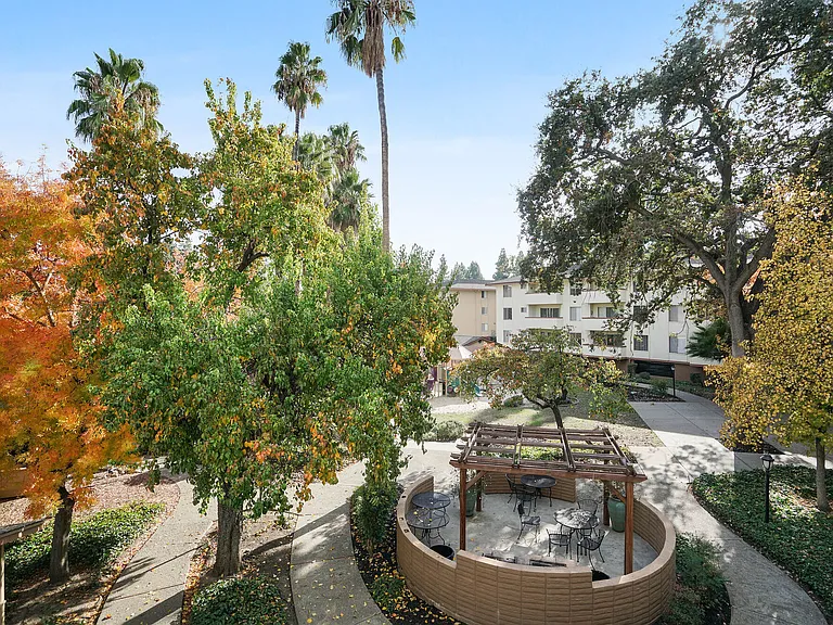 Palm Lake — Photo 7