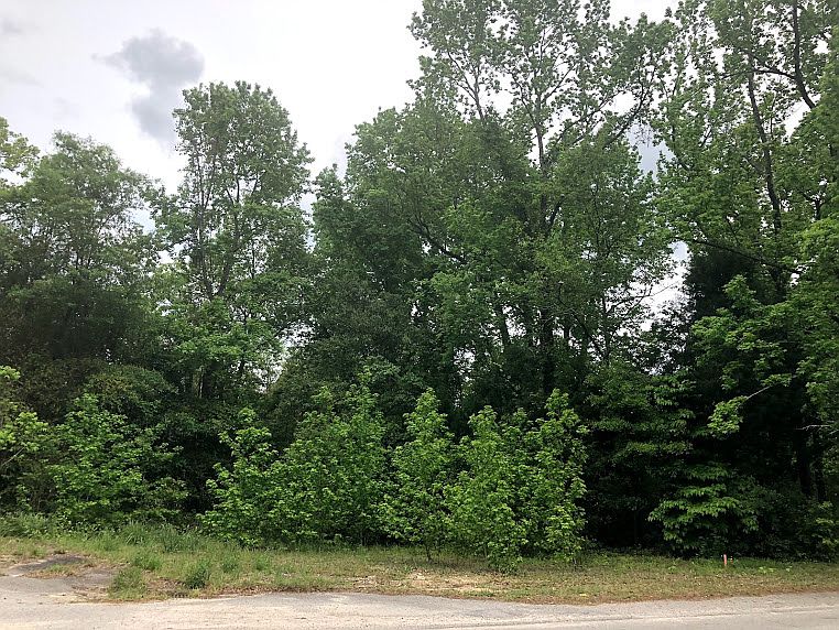 2nd image of 1008 S Ott Rd