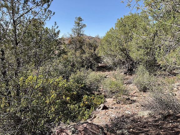 4th image of 15325 N Escalante Way