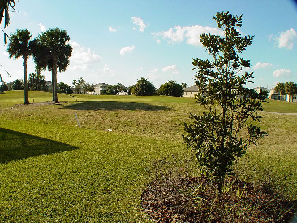 Yard View