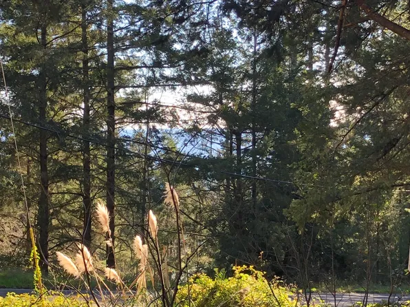 8 Buckhorn Ct, Whitethorn, CA 95589