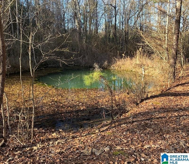 2nd image of 130 Clover Ln