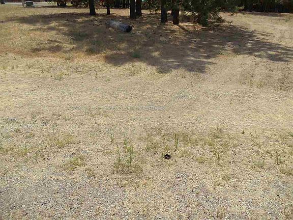 4th image of 6447 Timber Dr