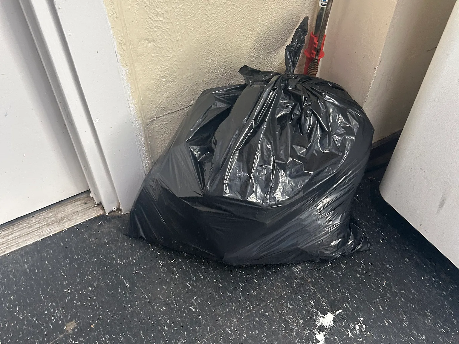 1 bed, $101 — Photo 3