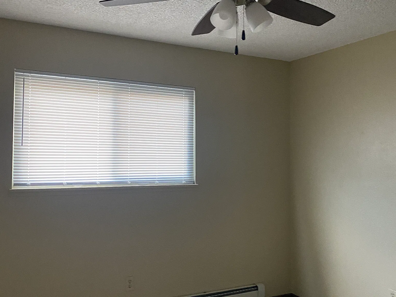 3704 Ridge Rd — Photo 4