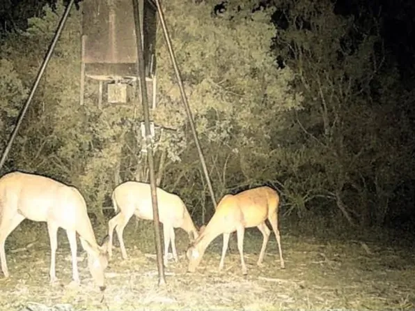 Pierce Rd Tract 8, Goliad, TX 77963