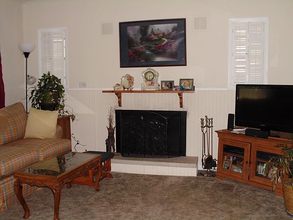 Wood burning Fireplace