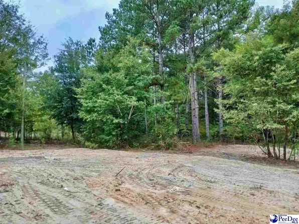 Gulledge Ln, Patrick, SC 29584