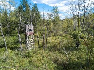 11582 Belding Rd NE, Belding, MI 48809