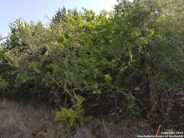 2nd image of 4736 troy LOT 6