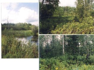 5755 Drier Rd, Levering, MI 49755