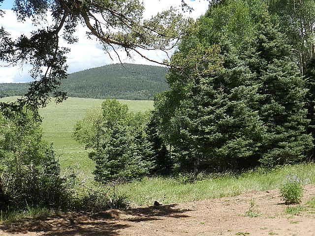 1st image of 2369 Benton Pl