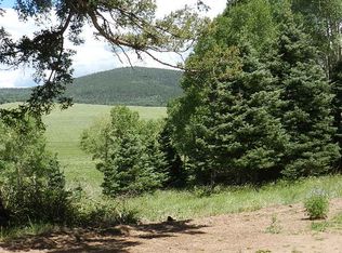 2369 Benton Pl, Ft Garland, CO 81133