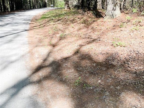 2nd image of Lot #98 Mallie Drive