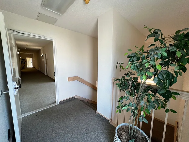 124 Beech St #207 — Photo 17