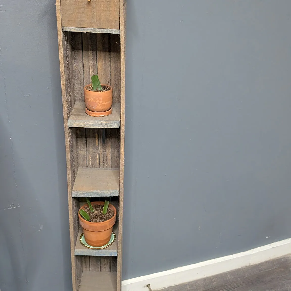 1 bed, $925 — Photo 2
