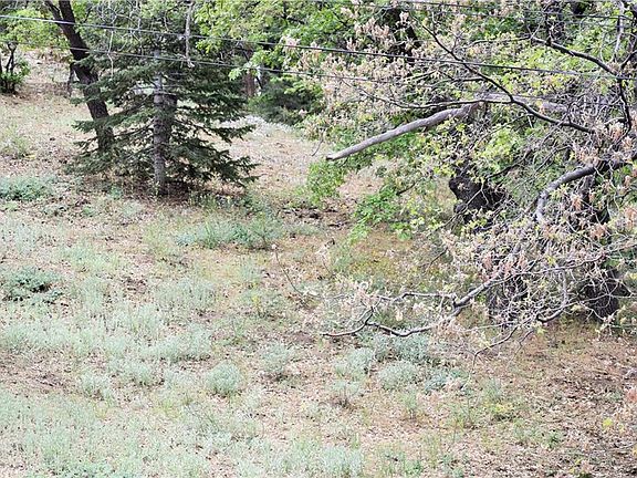 2nd image of 43605 Bow Canyon Ln