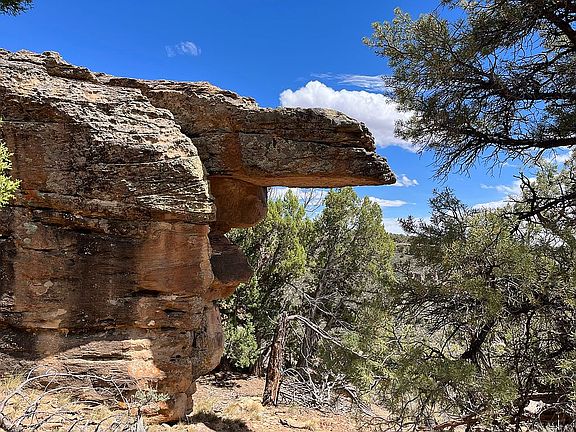 3rd image of 14 Cedar Point Rd