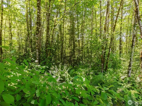 11 Lot Cassie Place NW, Poulsbo, WA 98370