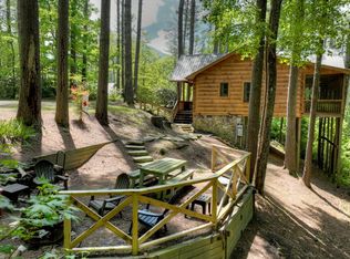 60 Hidden Ridge Ct, Cherry Log, GA 30522